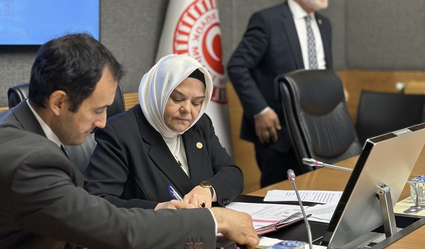 AK Parti Eskişehir Milletvekili Ayşen Gürcan'a TBMM komisyonunda önemli görev
