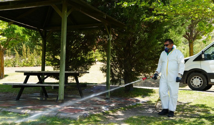 Kene ile mücadelede 12 ilçe ilaçlandı
