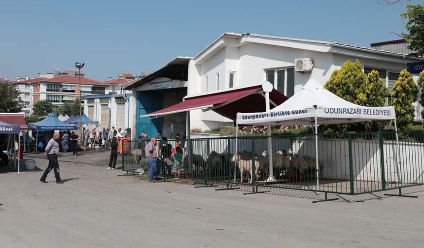 Vatandaşlardan Başkan Kurt'a teşekkür