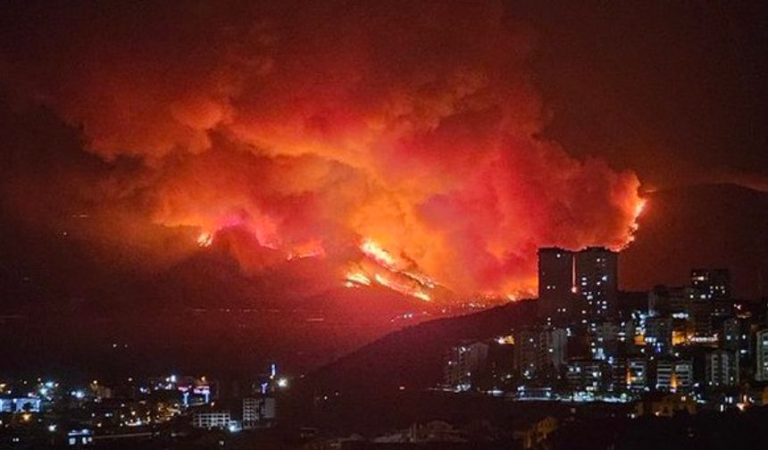 Bursa'da yangın felaketi! Eskişehir'den de destek gönderildi