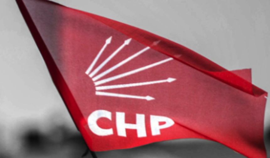 CHP Seyitgazi Gençlik Kolları Başkanı istifasını açıkladı
