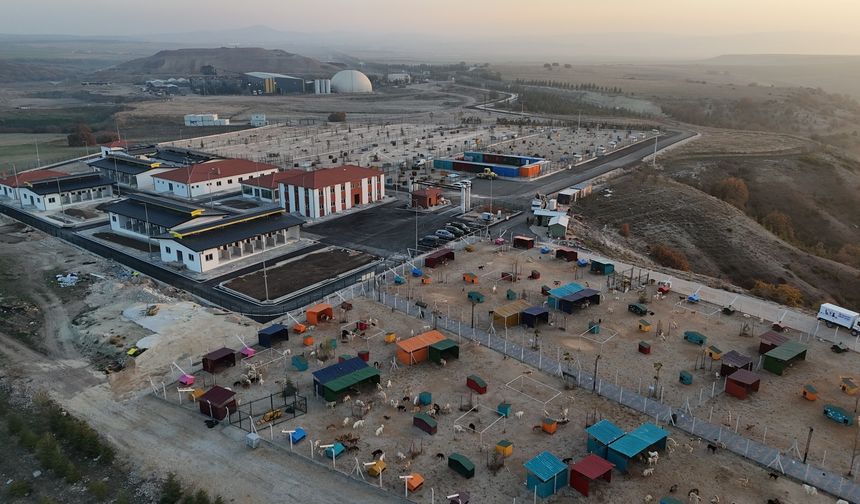 Büyükşehir'den 2025'te can dostlara tam destek