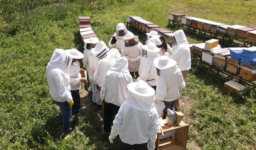 Arıköy kayıtları başlıyor!