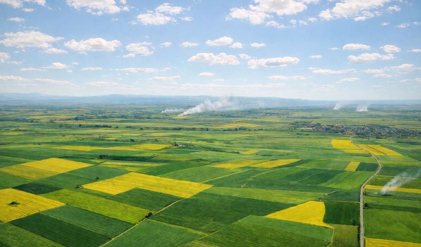 Alpu Termik Santrali projesine iptal kararı