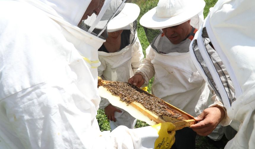 Odunpazarı’nda arıcılık eğitimleri başladı