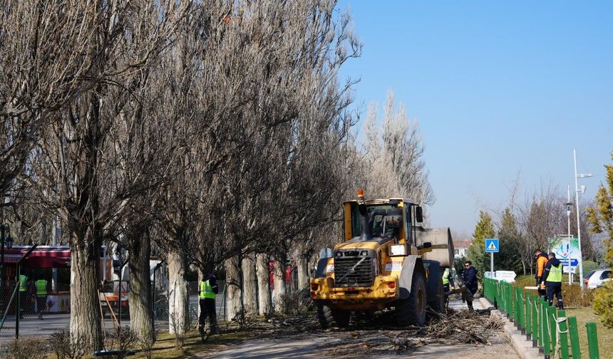 Sazova'da çalışmalar devam ediyor