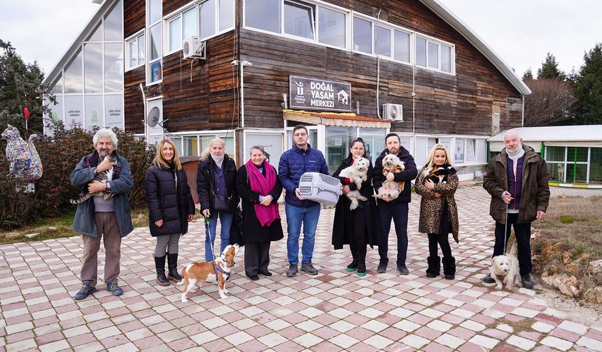 Patili canlar Tepebaşı'nda yuva buluyor