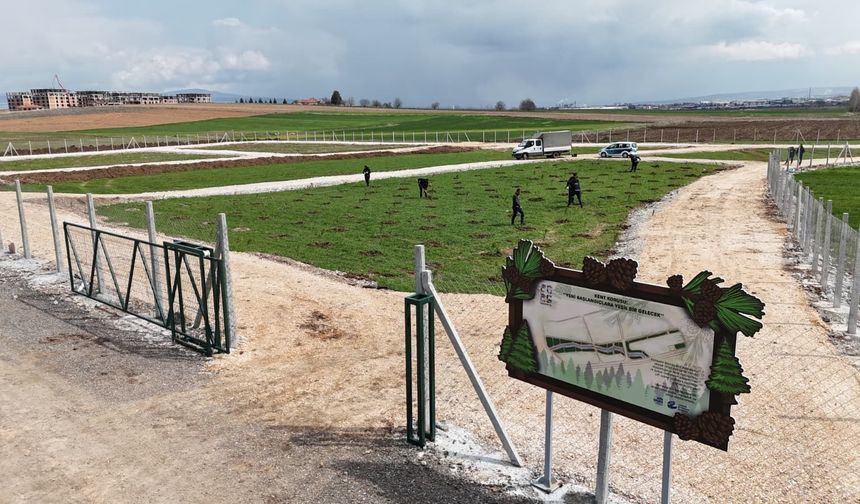 Fidanlar Kent Korusu'nda yeşerecek