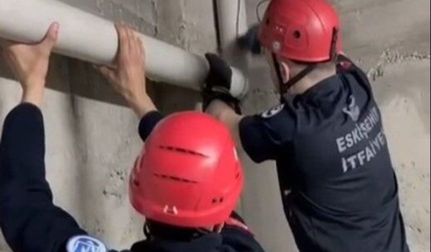 Su borusuna sıkışan yavru kedileri itfaiye kurtardı