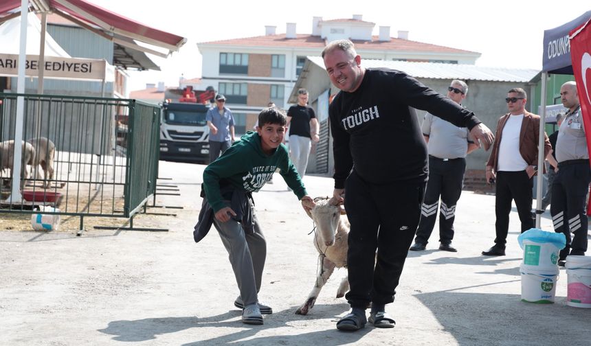 Kurban kesimleri veteriner hekim ve din görevlisi gözetiminde yapılacak