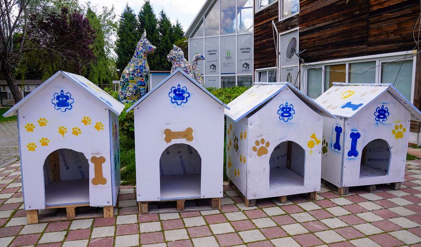 Gençlerden can dostlara anlamlı bağış