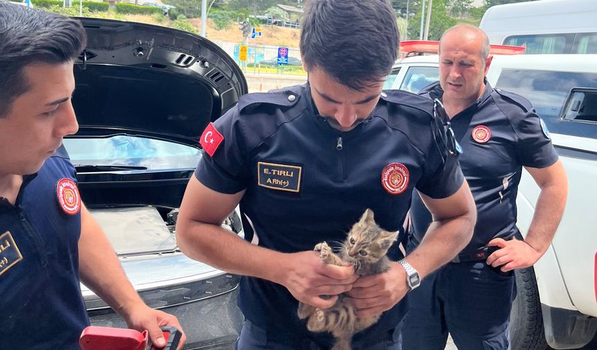 Yavru kedinin imdadına itfaiye yetişti