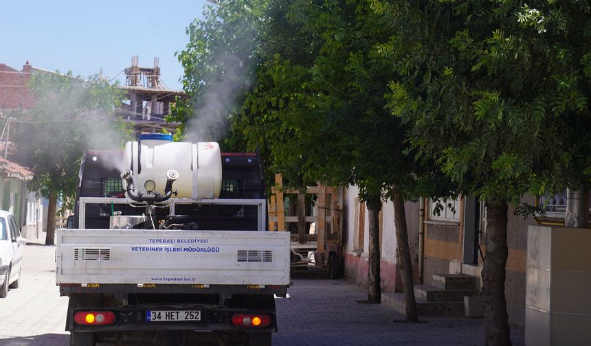 Haşerelere karşı mücadelede ilaçlama çalışmaları sürüyor