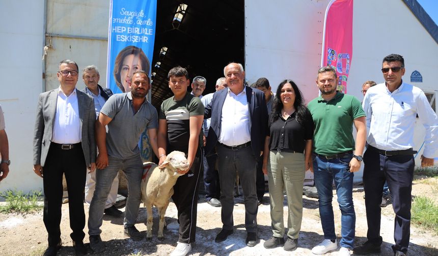 Damızlık koçlar Alpu'daki üreticilerle buluştu