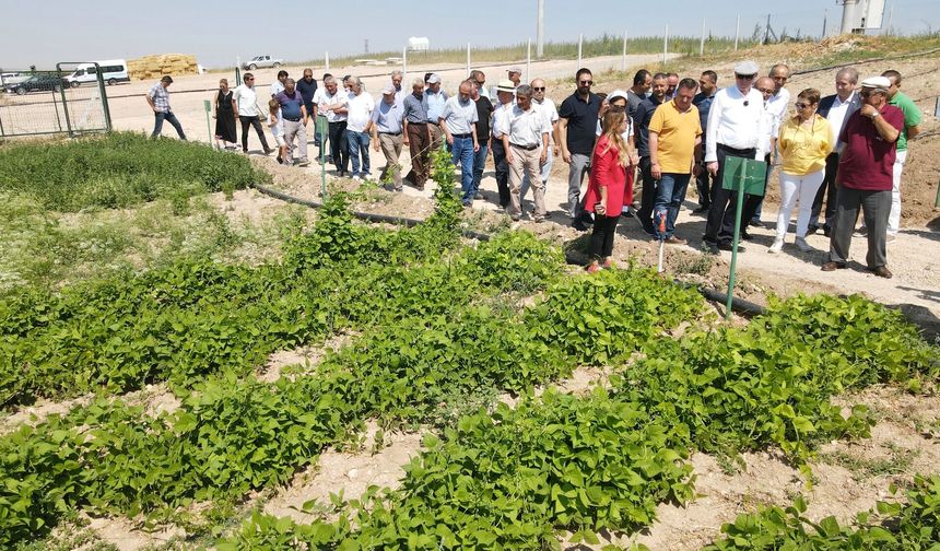 Çiftçiye bilim destekli tarım hamlesi