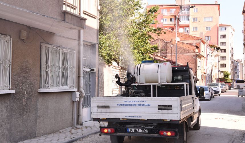 Tepebaşı'nda haşerelere karşı mücadele aralıksız sürüyor