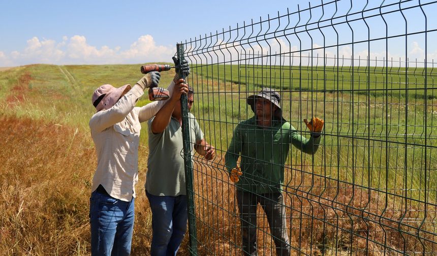 Tarımsal Tahmin ve Erken Uyarı Sistemleri Projesi hayata geçti
